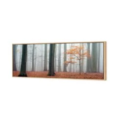 Misty Autumn Forest (Long) -WALL ART DESGIN SALE misty autumn forest long canvas oak floating frame 60x20cm 216113