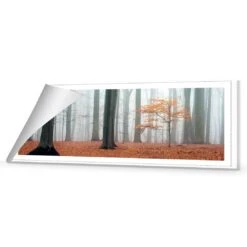 Misty Autumn Forest (Long) -WALL ART DESGIN SALE misty autumn forest long canvas rolled canvas 60x20cm 246895