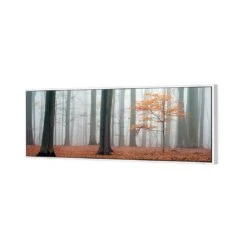 Misty Autumn Forest (Long) -WALL ART DESGIN SALE misty autumn forest long canvas white floating frame 60x20cm 324458