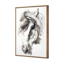 Monochrome Sketch Horse Canvas Art 6 Monochrome Sketch Horse Canvas Art -WALL ART DESGIN SALE monochrome sketch horse canvas art 45x30cm natural frame 162228