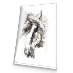 Monochrome Sketch Horse Canvas Art 8 Monochrome Sketch Horse Canvas Art -WALL ART DESGIN SALE monochrome sketch horse canvas art 45x30cm rolled canvas 253182