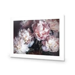 Moody Peonies 9 Moody Peonies -WALL ART DESGIN SALE moody peonies acrylic glass with border no frame 45x30cm 753528