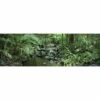 Mossman River In Daintree Rainforest, Long Canvas Art -WALL ART DESGIN SALE mossman river in daintree rainforest long canvas art 60x20cm no frame 155470