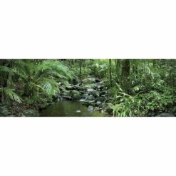 Mossman River In Daintree Rainforest, Long Canvas Art