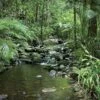 Mossman River In Daintree Rainforest (Square) 1 Mossman River In Daintree Rainforest (Square) -WALL ART DESGIN SALE mossman river in daintree rainforest square canvas stretched canvas 37x37cm 201519