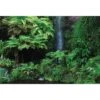 Nature's Garden 1 Nature's Garden -WALL ART DESGIN SALE natures garden canvas stretched canvas 45x30cm 965612
