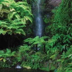 Nature's Garden (square)