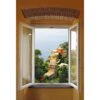 Open Window In Italy