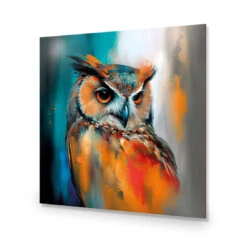 Owl Portrait II -WALL ART DESGIN SALE owl portrait ii acrylic glass no border no frame 37x37cm 898706