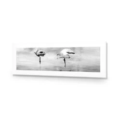 Painted Flamingoes, Black And White (long) -WALL ART DESGIN SALE painted flamingoes black and white long acrylic glass with border no frame 90x30cm 534870