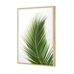 Palm Frond 6 Palm Frond -WALL ART DESGIN SALE palm frond canvas stretched canvas 45x30cm 130922