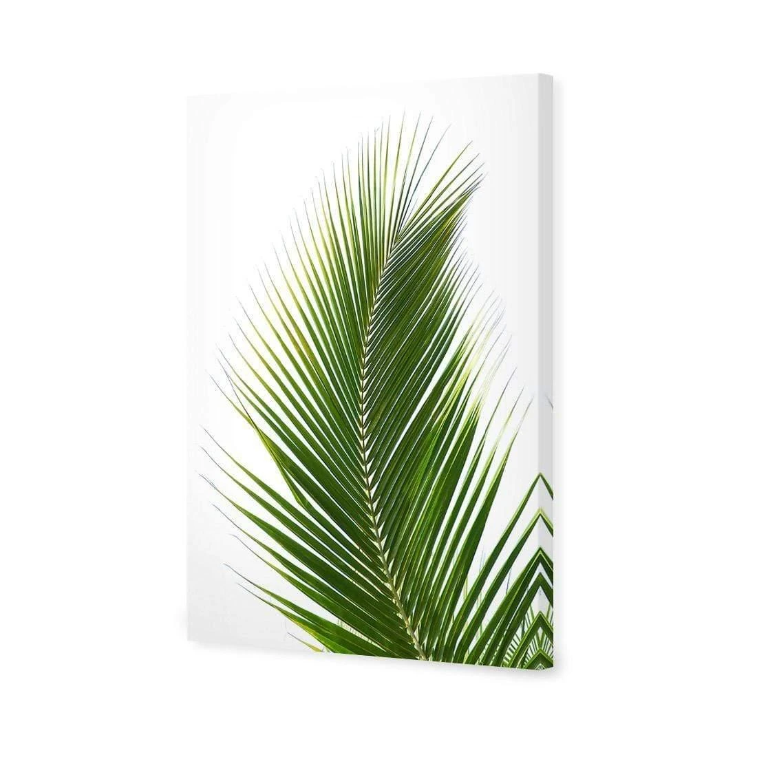 Palm Frond Palm Frond -WALL ART DESGIN SALE palm frond canvas stretched canvas 45x30cm 348215