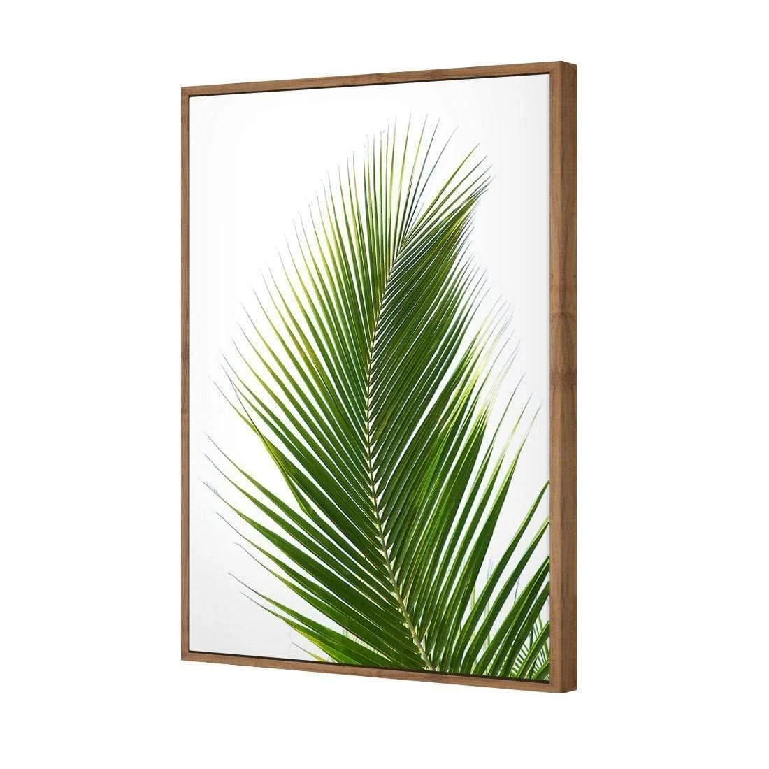 Palm Frond Palm Frond -WALL ART DESGIN SALE palm frond canvas stretched canvas 45x30cm 765080