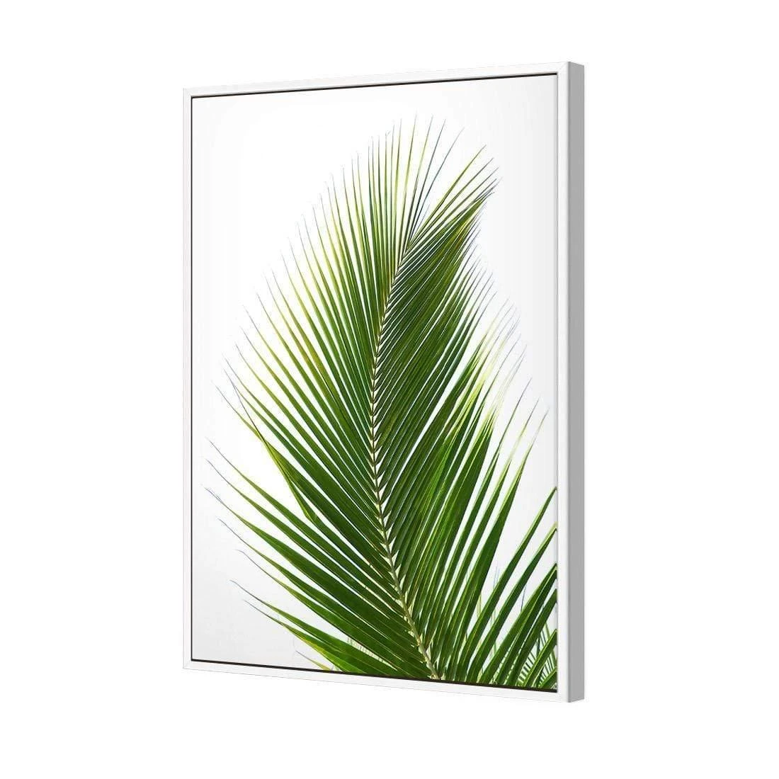 Palm Frond Palm Frond -WALL ART DESGIN SALE palm frond canvas stretched canvas 45x30cm 802274