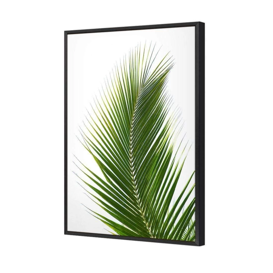 Palm Frond Palm Frond -WALL ART DESGIN SALE palm frond canvas stretched canvas 45x30cm 914819