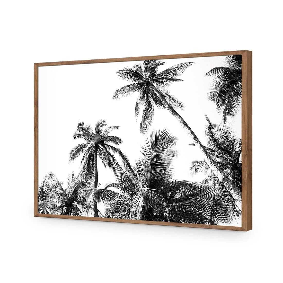 Palm Projections Palm Projections -WALL ART DESGIN SALE palm projections acrylic glass no border natural frame 45x30cm 957691