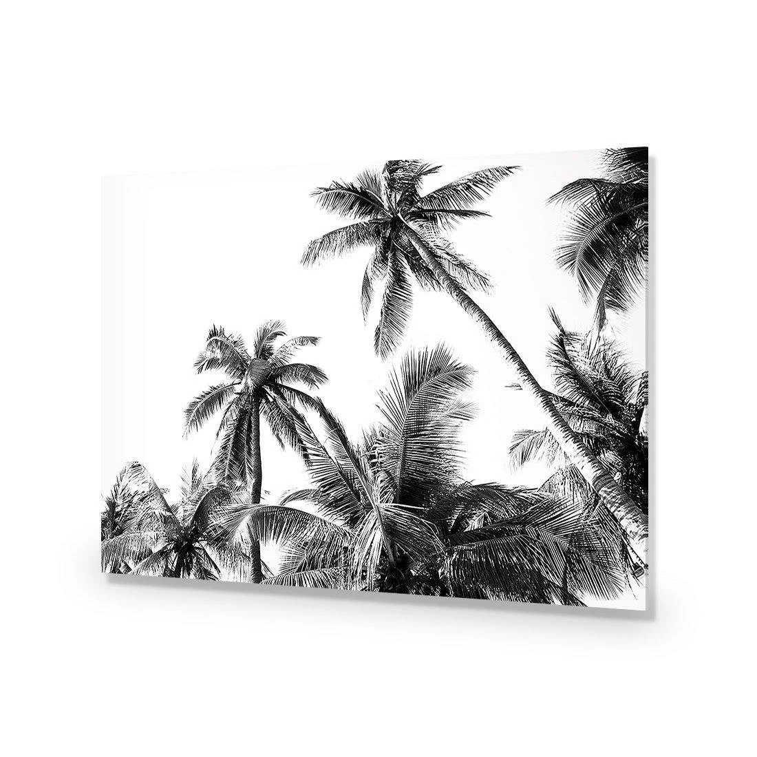 Palm Projections Palm Projections -WALL ART DESGIN SALE palm projections acrylic glass no border no frame 45x30cm 255028