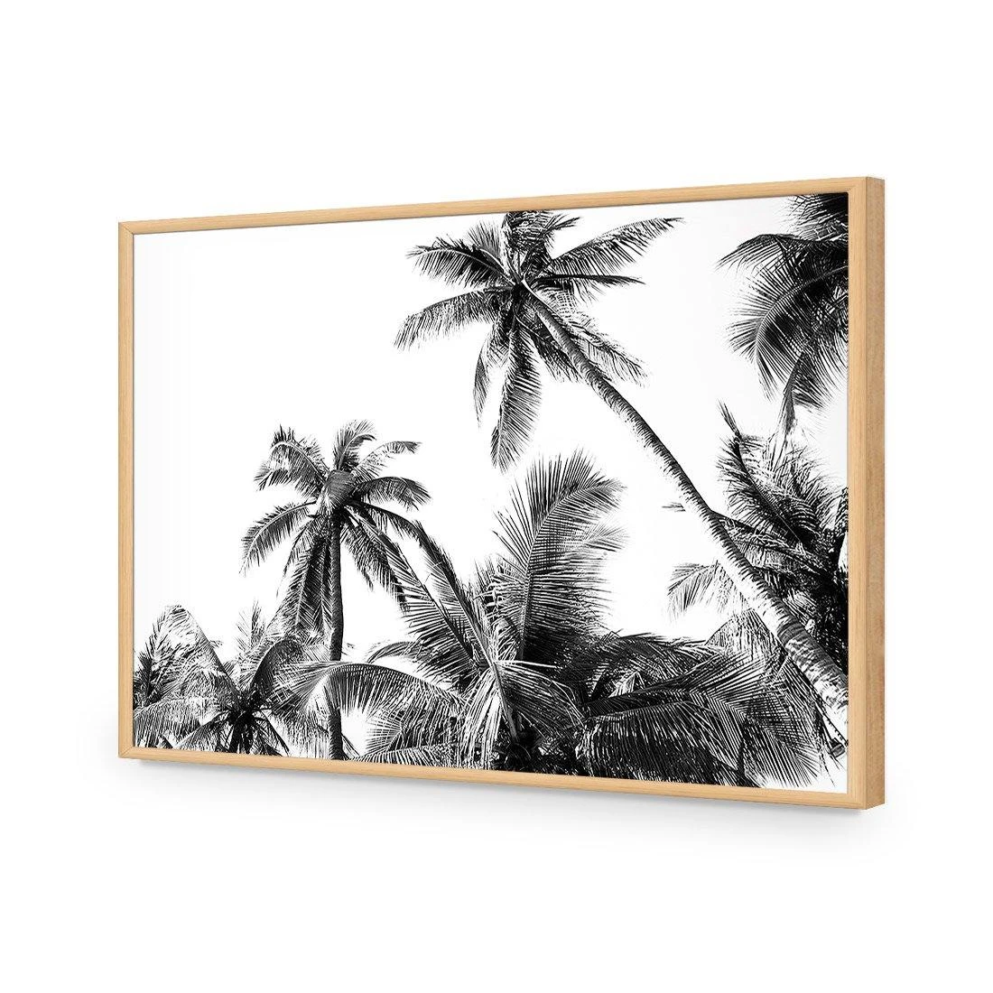 Palm Projections Palm Projections -WALL ART DESGIN SALE palm projections acrylic glass no border oak frame 45x30cm 916636