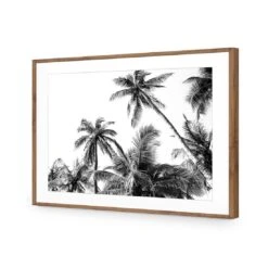 Palm Projections 13 Palm Projections -WALL ART DESGIN SALE palm projections acrylic glass with border natural frame 45x30cm 148047