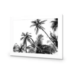 Palm Projections 9 Palm Projections -WALL ART DESGIN SALE palm projections acrylic glass with border no frame 45x30cm 803288