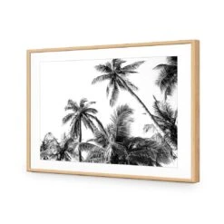 Palm Projections 12 Palm Projections -WALL ART DESGIN SALE palm projections acrylic glass with border oak frame 45x30cm 815896