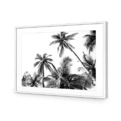 Palm Projections 11 Palm Projections -WALL ART DESGIN SALE palm projections acrylic glass with border white frame 45x30cm 455170