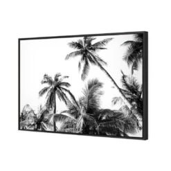 Palm Projections 4 Palm Projections -WALL ART DESGIN SALE palm projections canvas black floating frame 45x30cm 783304