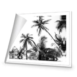 Palm Projections 8 Palm Projections -WALL ART DESGIN SALE palm projections canvas rolled canvas 45x30cm 257757