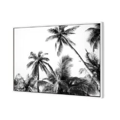 Palm Projections 5 Palm Projections -WALL ART DESGIN SALE palm projections canvas white floating frame 45x30cm 748718
