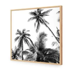 Palm Projections (Square) -WALL ART DESGIN SALE palm projections square canvas stretched canvas 37x37cm 826705