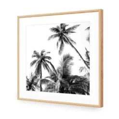 Palm Projections (Square) -WALL ART DESGIN SALE palm projections square canvas stretched canvas 37x37cm 908588