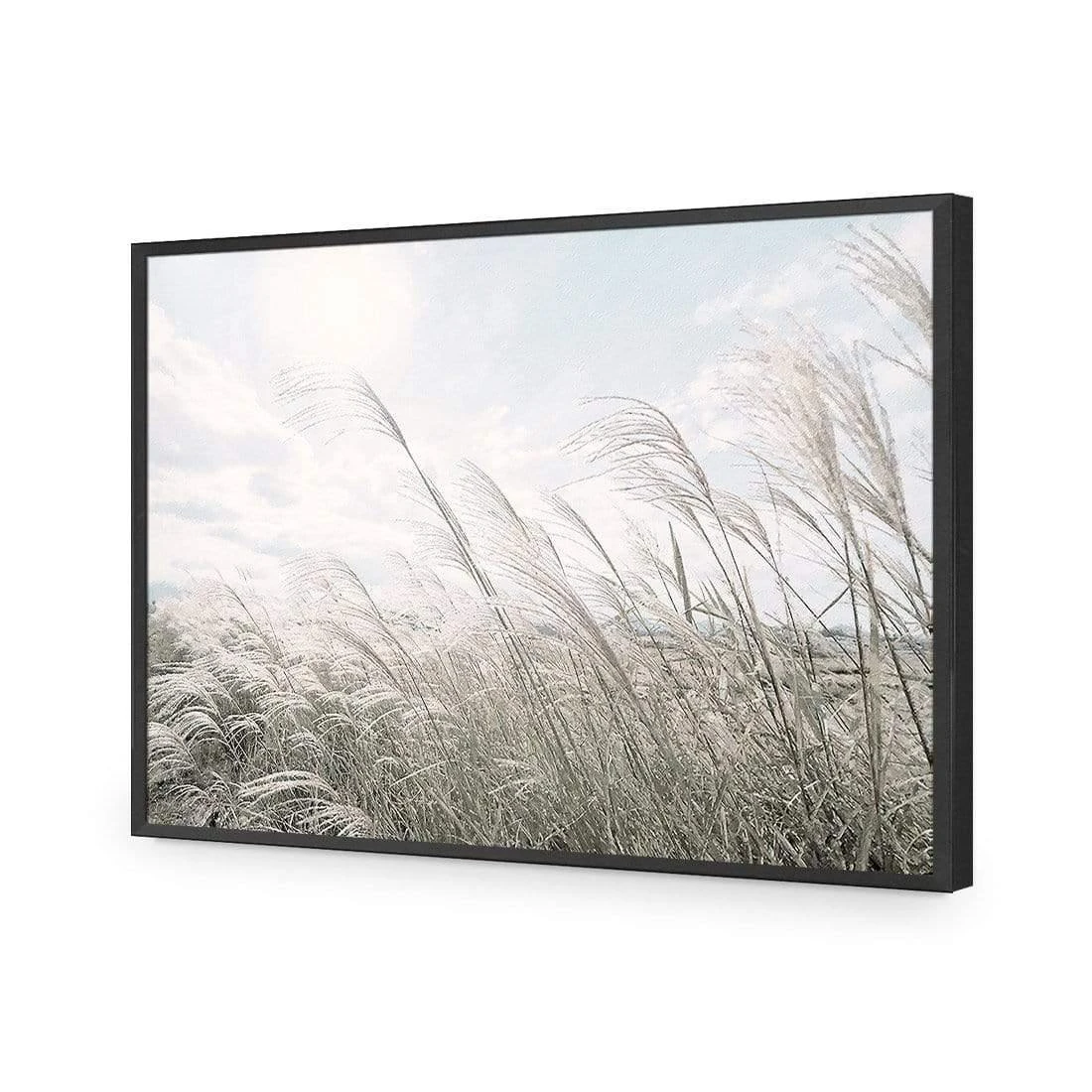 Pampas Pampering Pampas Pampering -WALL ART DESGIN SALE pampas pampering acrylic glass no border black frame 45x30cm 815649
