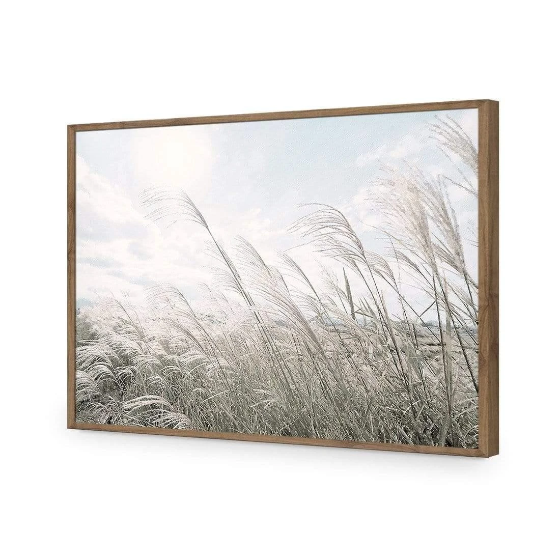 Pampas Pampering Pampas Pampering -WALL ART DESGIN SALE pampas pampering acrylic glass no border natural frame 45x30cm 359388