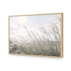 Pampas Pampering 18 Pampas Pampering -WALL ART DESGIN SALE pampas pampering acrylic glass no border oak frame 45x30cm 396046