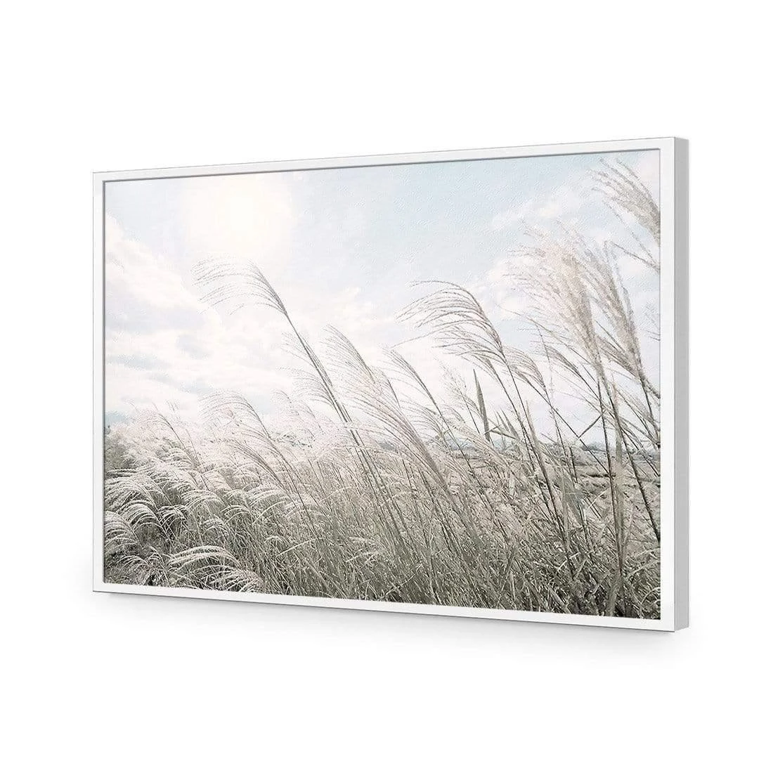Pampas Pampering Pampas Pampering -WALL ART DESGIN SALE pampas pampering acrylic glass no border white frame 45x30cm 104690