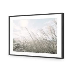 Pampas Pampering 11 Pampas Pampering -WALL ART DESGIN SALE pampas pampering acrylic glass with border black frame 45x30cm 868785