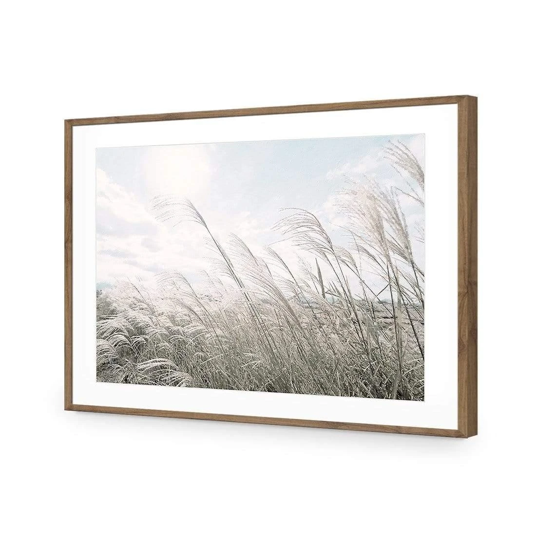Pampas Pampering Pampas Pampering -WALL ART DESGIN SALE pampas pampering acrylic glass with border natural frame 45x30cm 394971