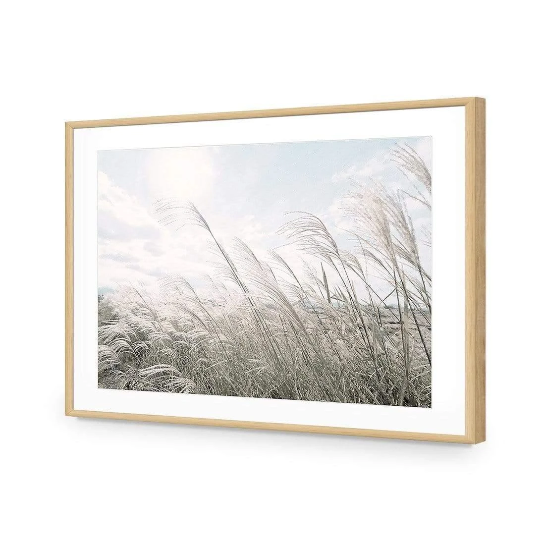 Pampas Pampering Pampas Pampering -WALL ART DESGIN SALE pampas pampering acrylic glass with border oak frame 45x30cm 761365