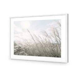 Pampas Pampering 12 Pampas Pampering -WALL ART DESGIN SALE pampas pampering acrylic glass with border white frame 45x30cm 156584