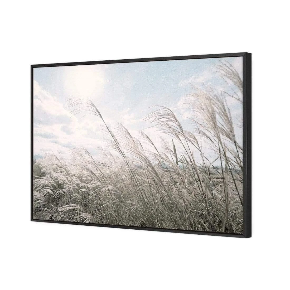 Pampas Pampering Pampas Pampering -WALL ART DESGIN SALE pampas pampering canvas black floating frame 45x30cm 389657
