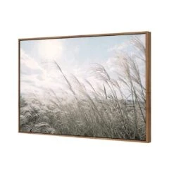Pampas Pampering 8 Pampas Pampering -WALL ART DESGIN SALE pampas pampering canvas natural floating frame 45x30cm 695879