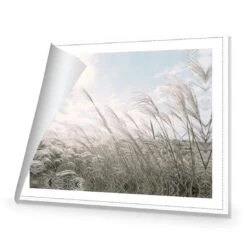 Pampas Pampering 9 Pampas Pampering -WALL ART DESGIN SALE pampas pampering canvas rolled canvas 45x30cm 875115