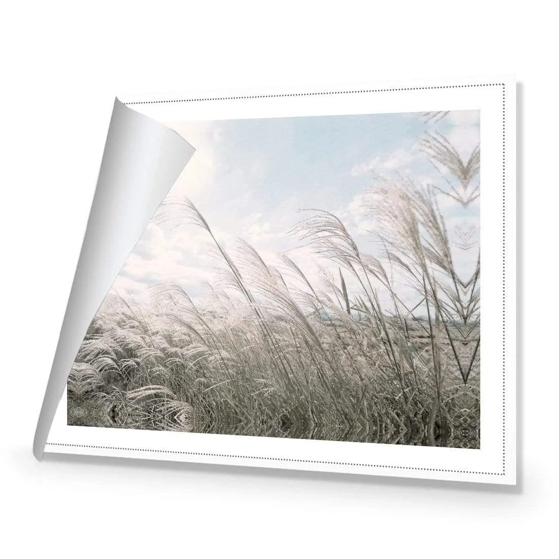 Pampas Pampering Pampas Pampering -WALL ART DESGIN SALE pampas pampering canvas rolled canvas 45x30cm 875115