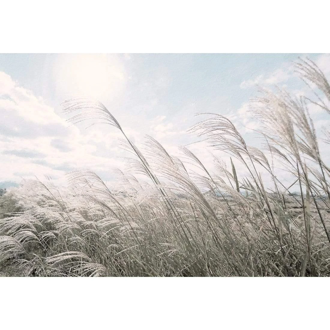 Pampas Pampering Pampas Pampering -WALL ART DESGIN SALE pampas pampering canvas stretched canvas 45x30cm 422200