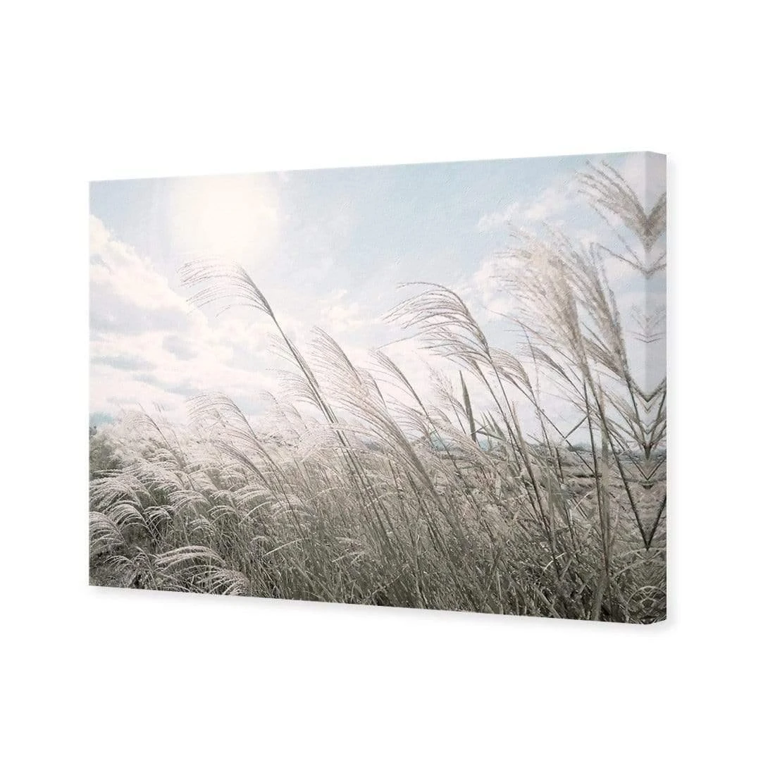 Pampas Pampering Pampas Pampering -WALL ART DESGIN SALE pampas pampering canvas stretched canvas 45x30cm 768802