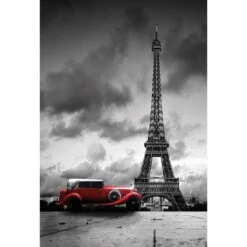 Parisian Vintage Limo (Portrait)