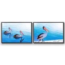 Pelican Perfect Pair -WALL ART DESGIN SALE pelican perfect pair acrylic glass no border black frame 45x30cm 119608