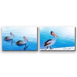 Pelican Perfect Pair -WALL ART DESGIN SALE pelican perfect pair acrylic glass no border no frame 45x30cm 415097