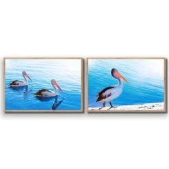 Pelican Perfect Pair -WALL ART DESGIN SALE pelican perfect pair acrylic glass no border oak frame 45x30cm 134479