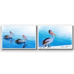Pelican Perfect Pair -WALL ART DESGIN SALE pelican perfect pair acrylic glass no border white frame 45x30cm 512627